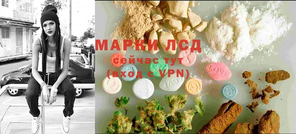 твердый Абаза
