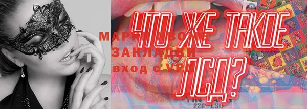 хмурый Новозыбков